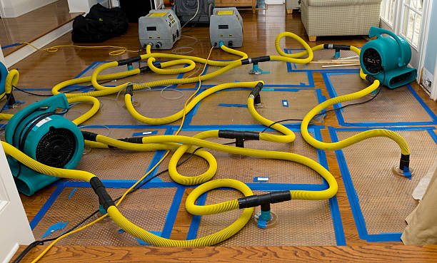 Professional Structural Drying And Dehumidification technician working in Harrison, AR